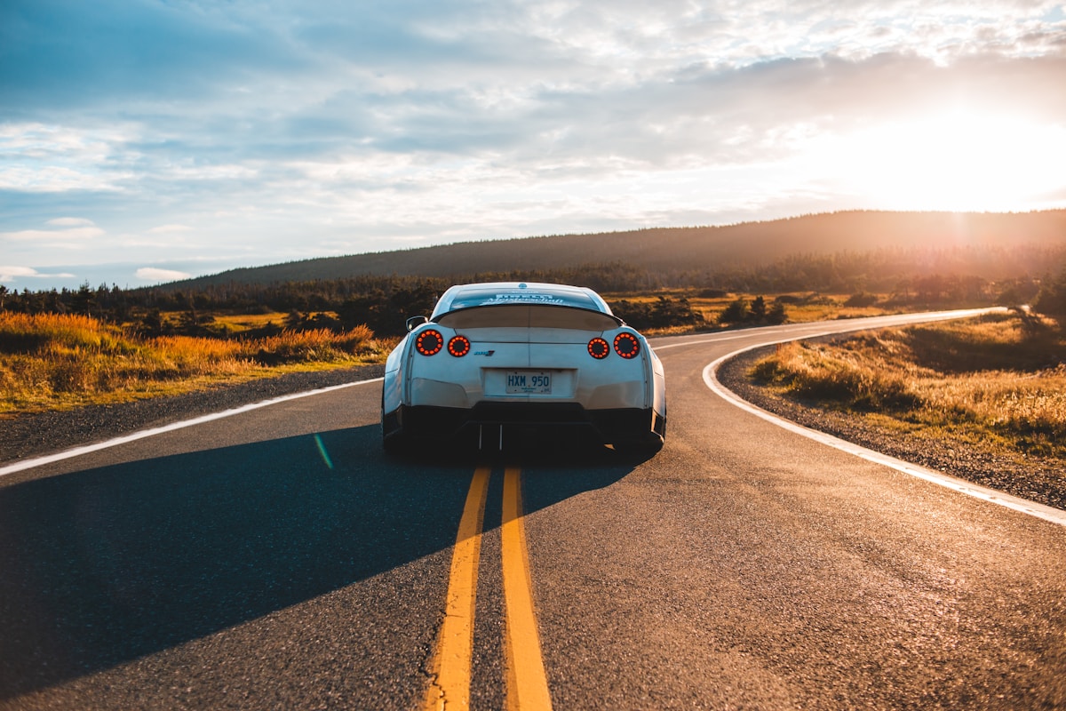 Professional chauffeur service